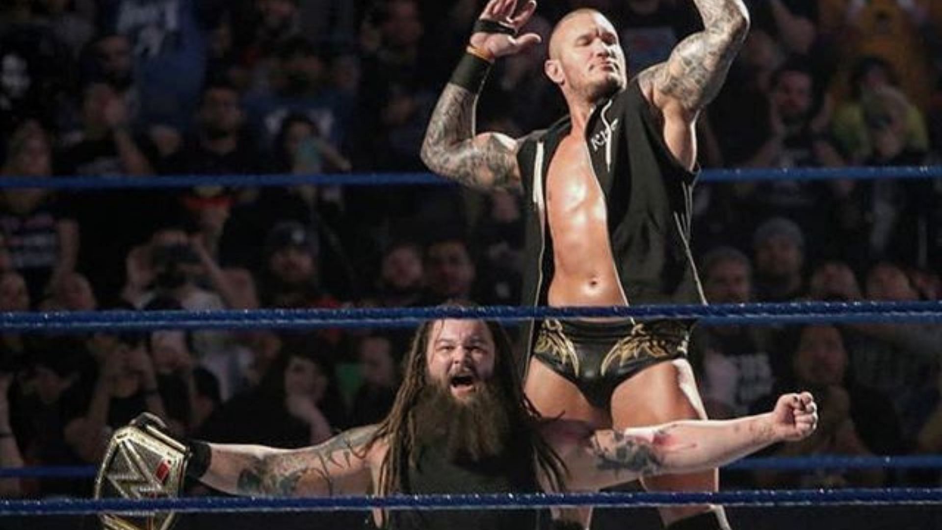 Randy Orton and Bray Wyatt won the tag team titles together.