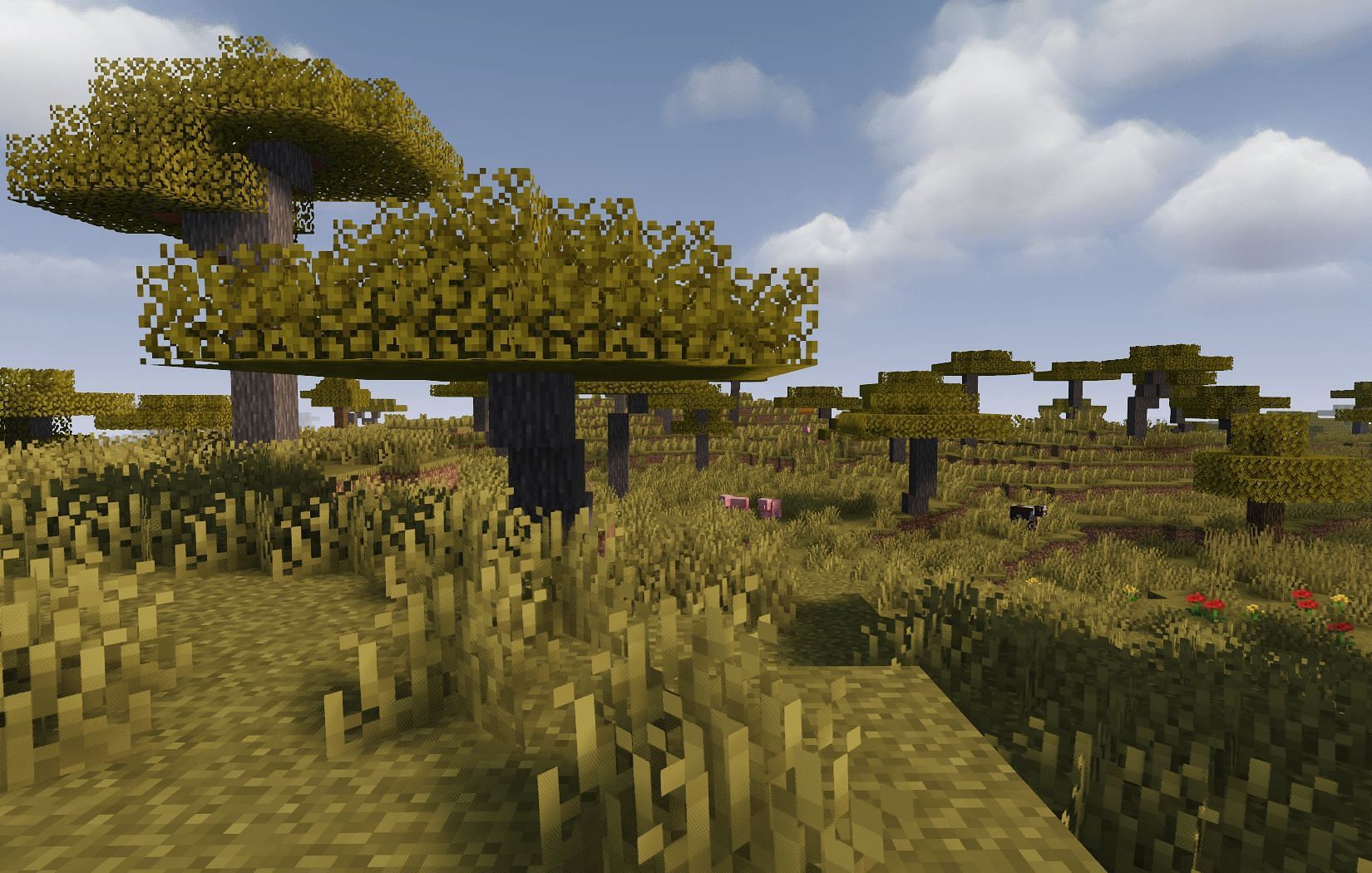 Acacia trees in savanna (Image via Mojang)