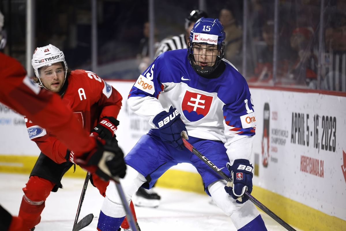 Dalibor Dvorsky Fits Who will take the talented forward on draft night?