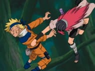 Tayuya in Naruto.
