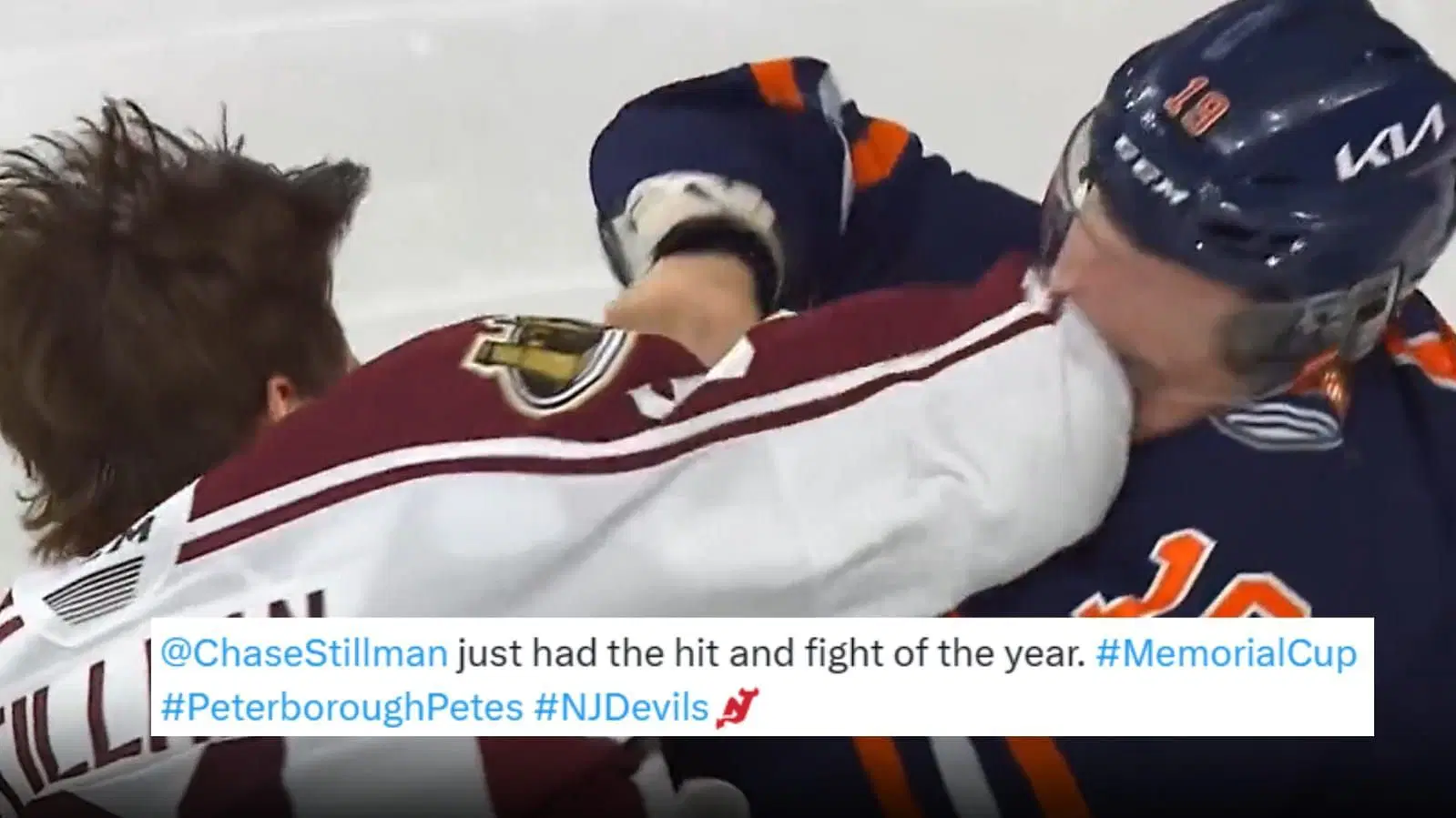 Chase Stillman sends fans into frenzy after Bankier punch.