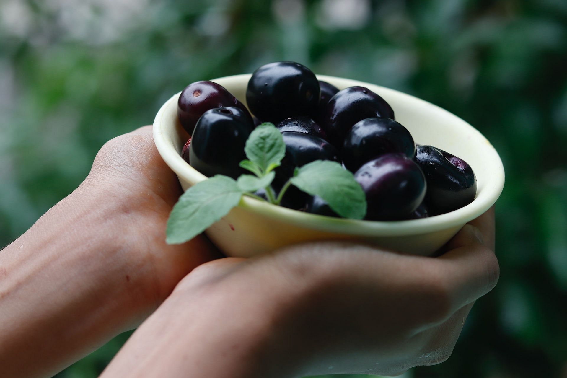 The java plum is a nutritious fruit. (Photo via Pexels/Subhransu Patrra)