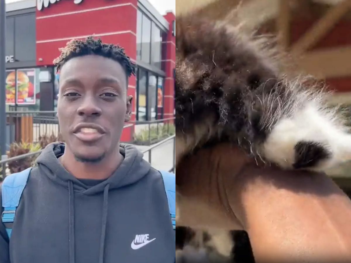 Who is Trevon Sellers? Controversial streamer under fire after threatening  to torture cat in front of an adoption worker