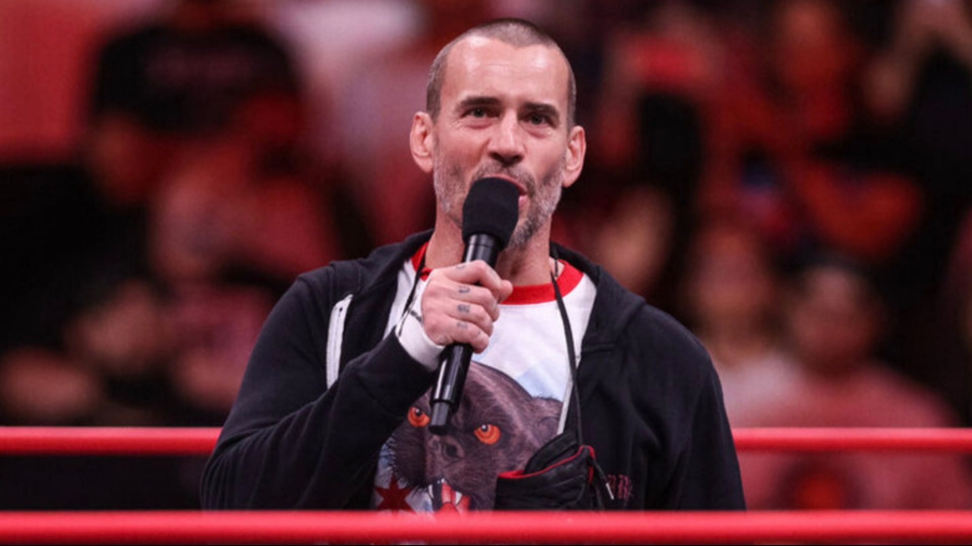 CM Punk is a former AEW World Champion 