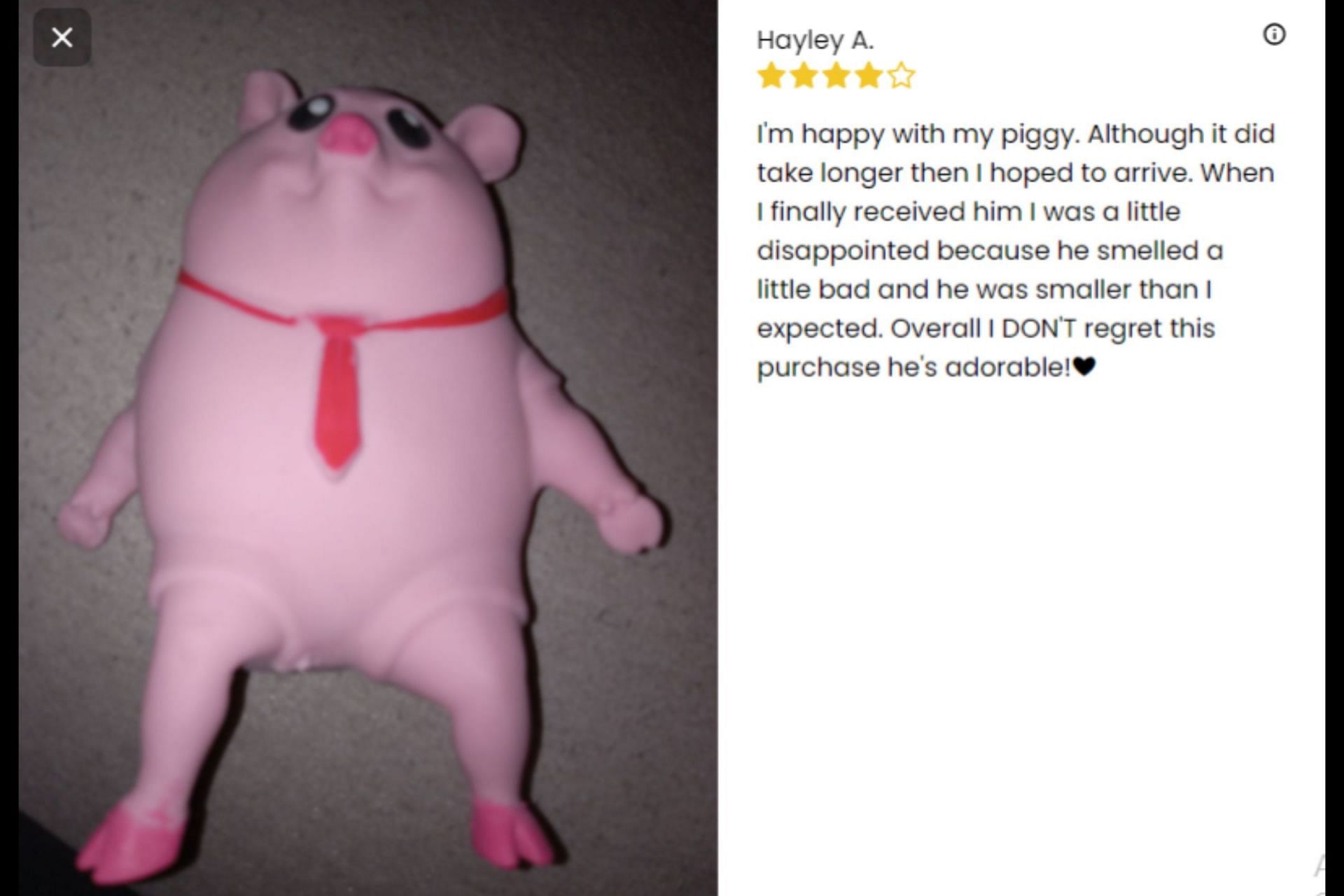 Customers review Porky Splash&#039;s viral Piggy Squeeze Toy. (Image via Porky Splash)