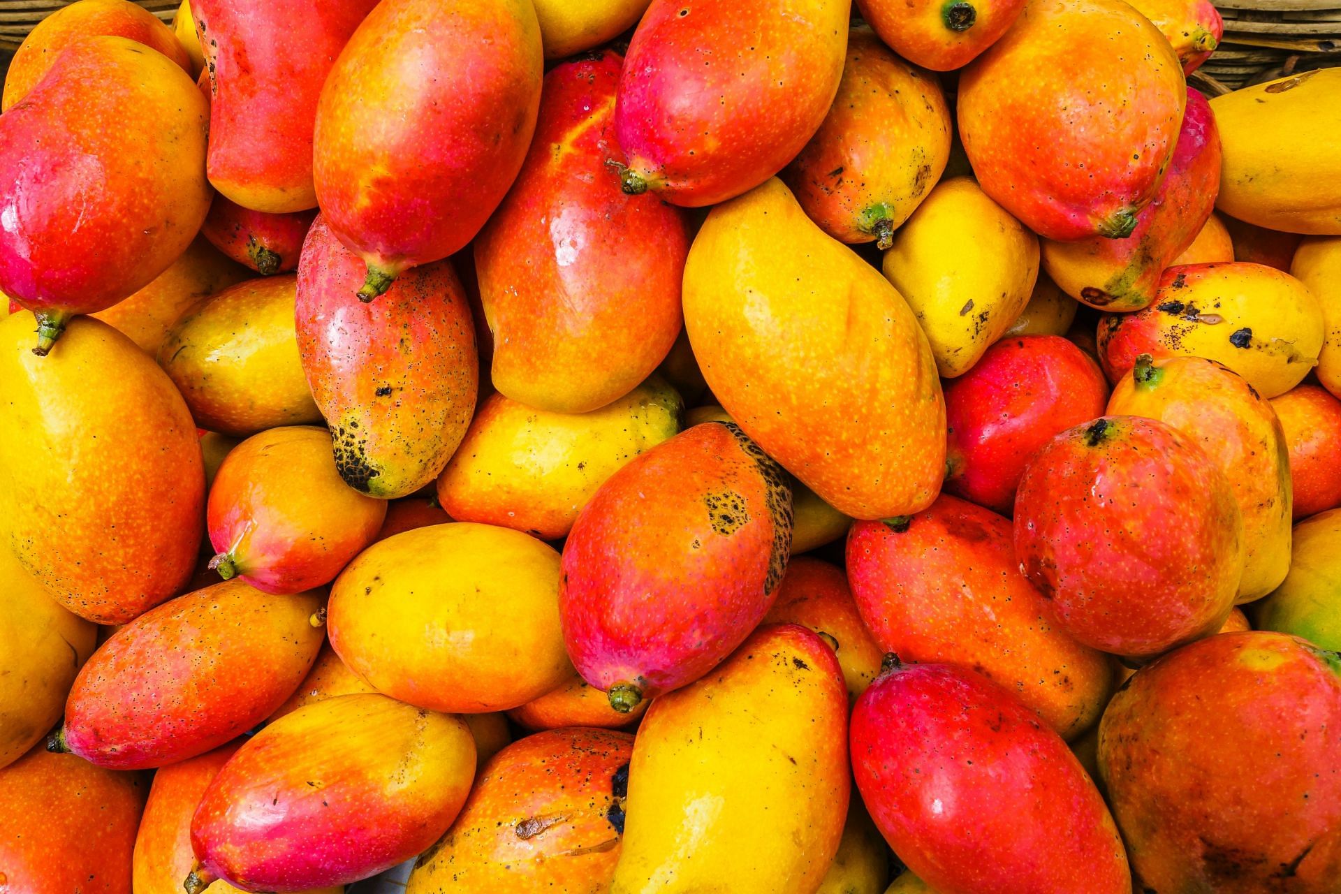 Benefits of eating mango - Improves brain health (image via unsplash / Alexander )