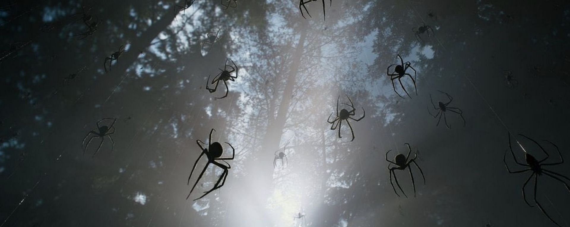 Ensnared by fear: Kraven battles his arachnophobia in a web of nightmares (Image via Sony Pictures)