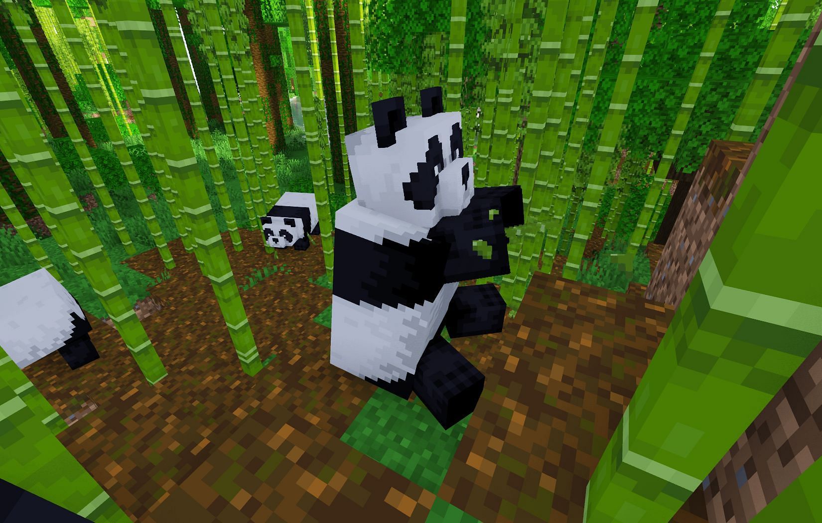 Pandas eating bamboo (Image via Mojang)