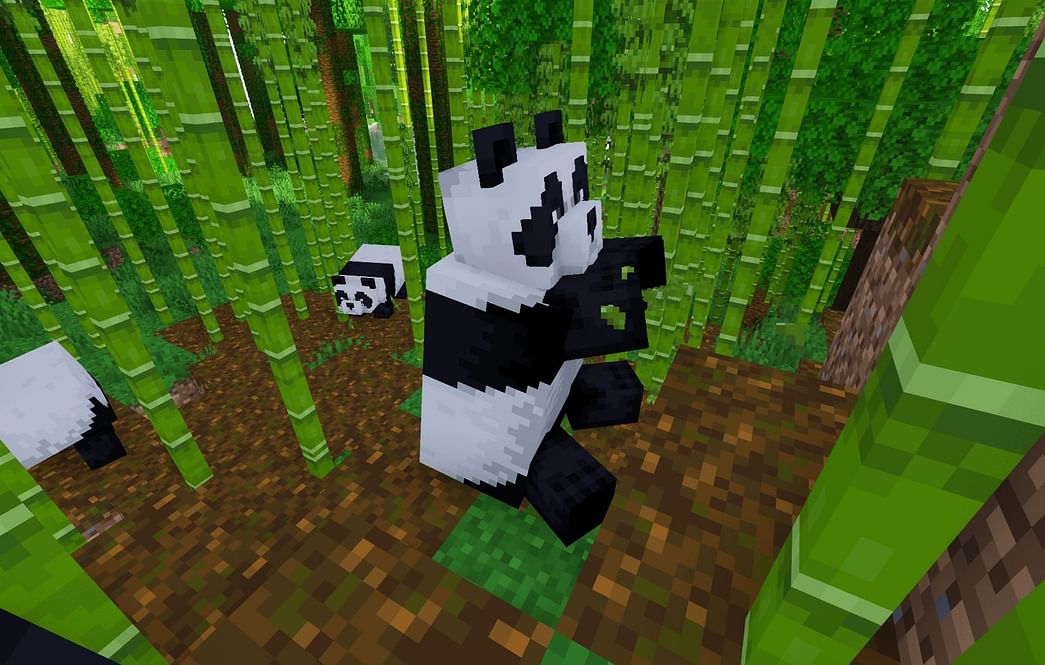 what-do-pandas-eat-in-minecraft