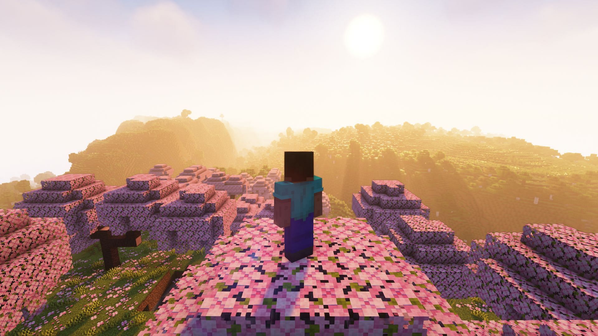 Cherry groves biome with shaders (Image via Mojang)