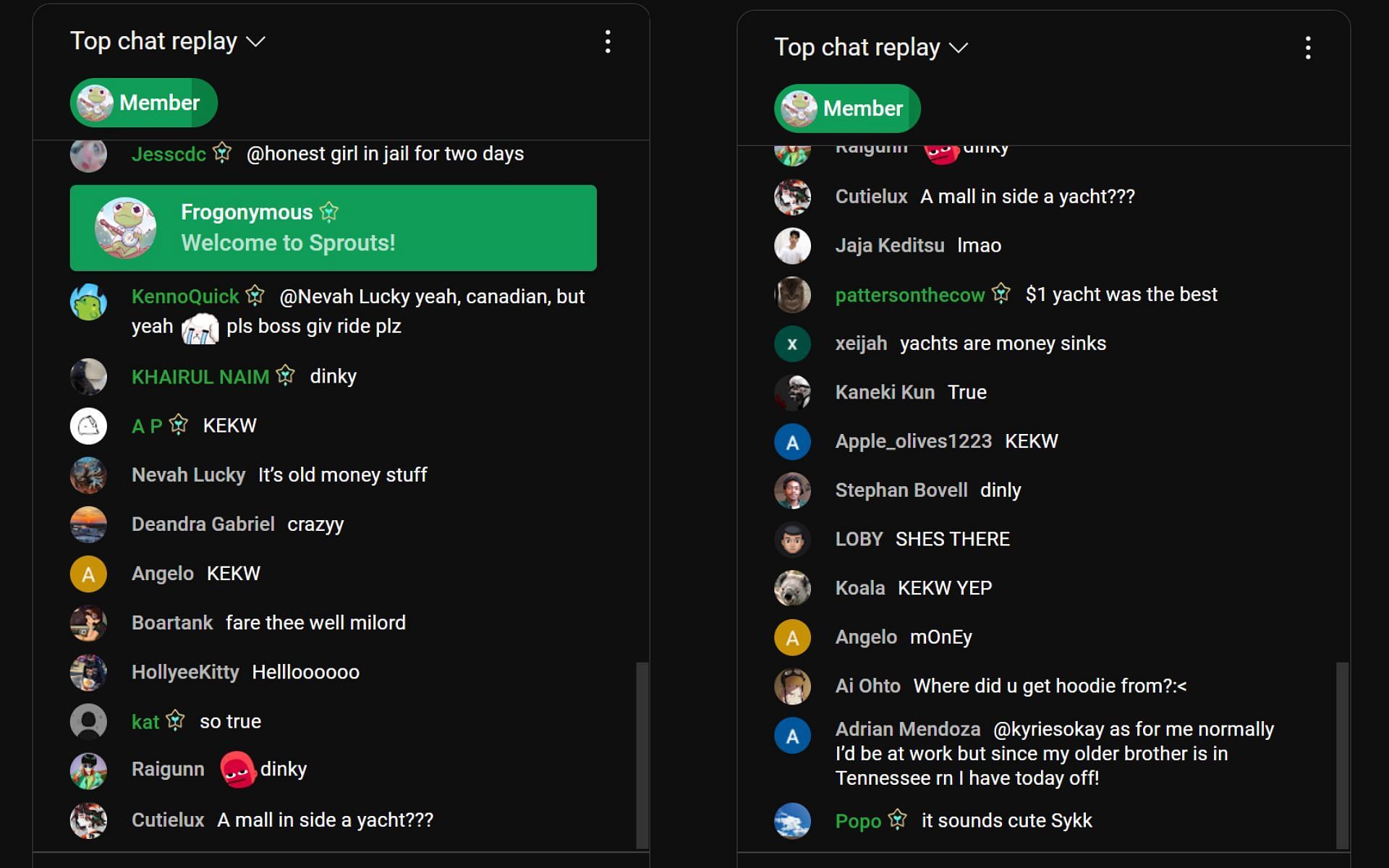 Fans in the YouTube Live chat react to the streamer&#039;s take (Image via Sykkuno/YouTube)