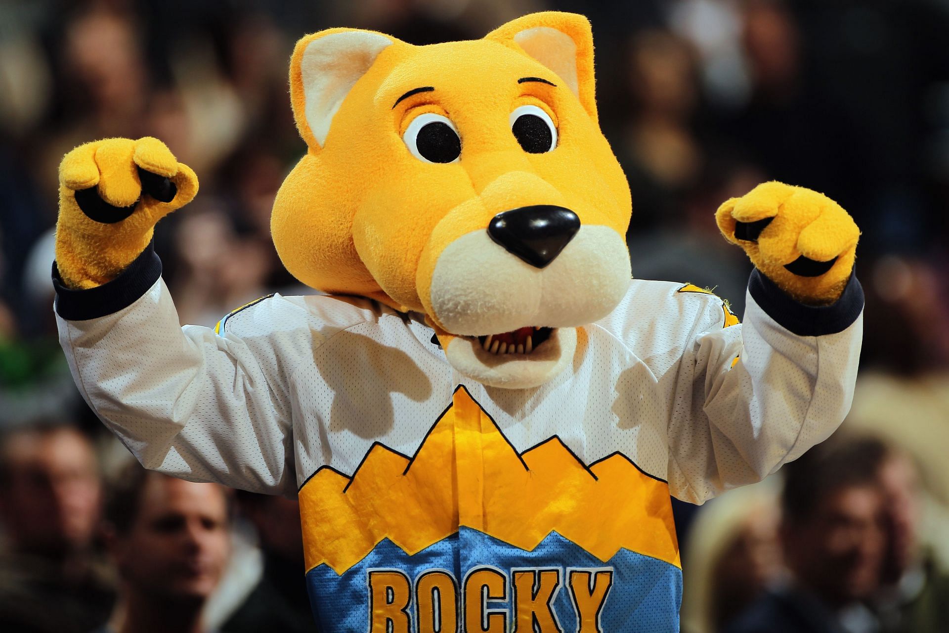 Rocky the Mountain Lion of the Denver Nuggets