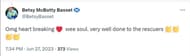 A comment reacting to the news (Image via Twitter/ @BetsyBasset)