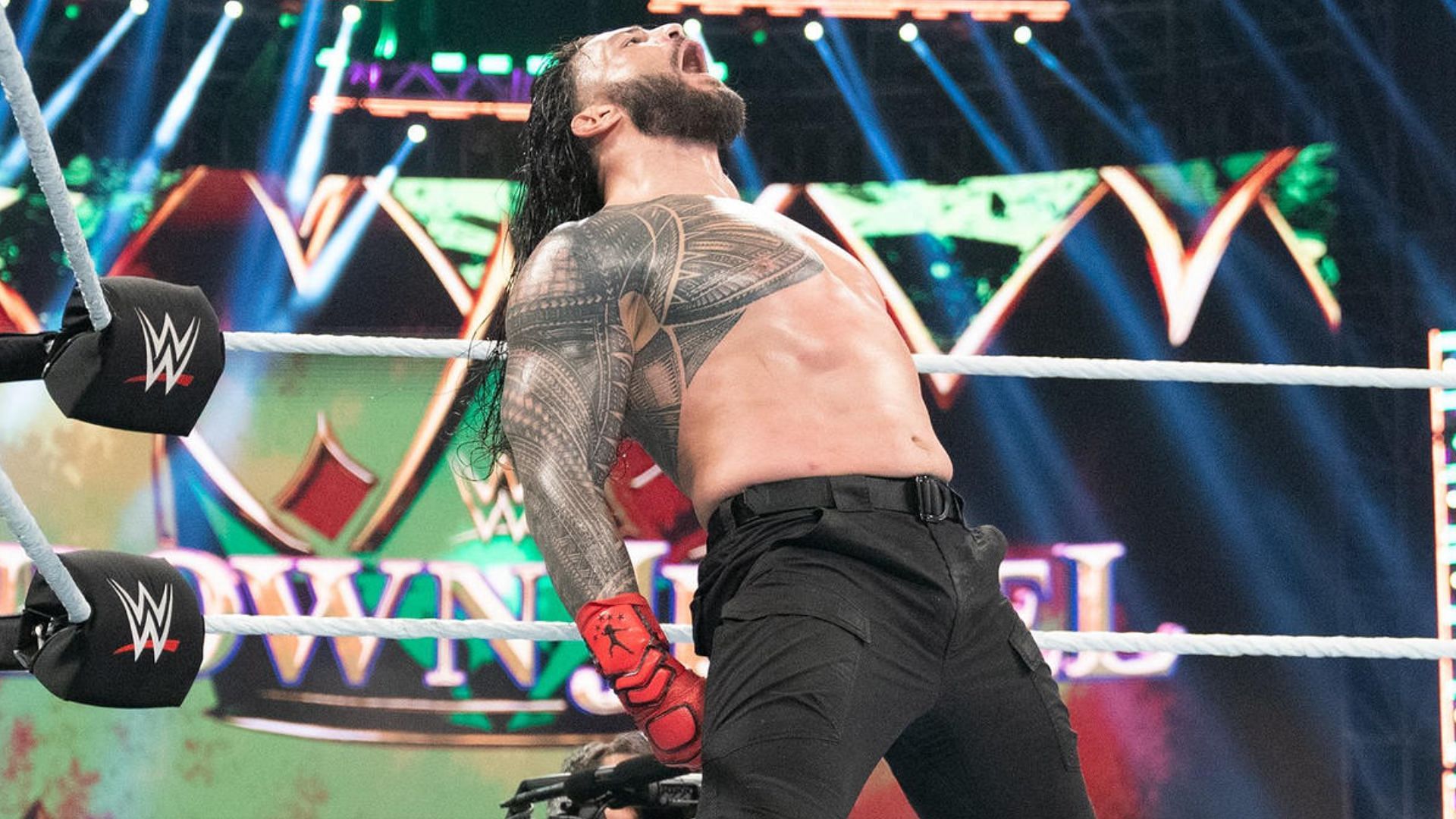 Roman Reigns during his match. Instagram Credits: wwe.com
