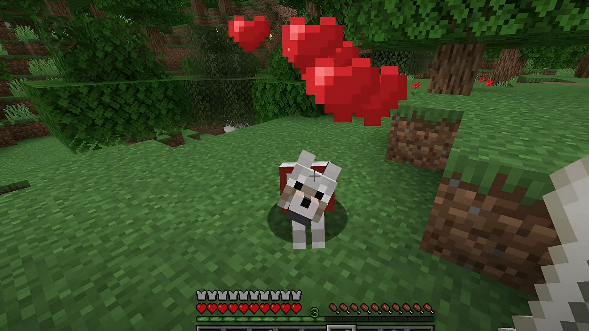 Wolves are one of the most frequently-tamed mobs in Minecraft (Image via Mojang)