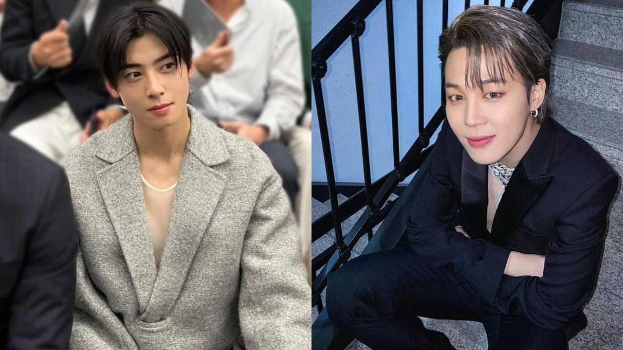 ASTRO's Cha Eunwoo Proves To Be A Real Prince With His True Personality At  The Airport Ahead Of Paris Fashion Week - Koreaboo