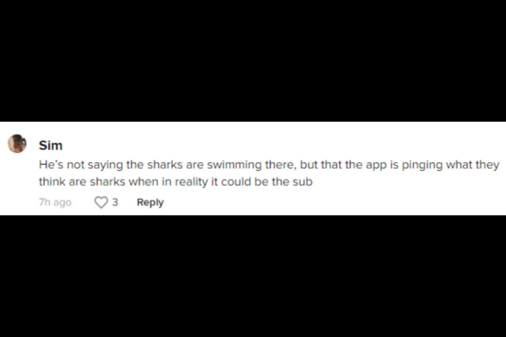 Netizens react to TikToker&#039;s shark-tracker theory. (Image via TikTok/@sqayl)