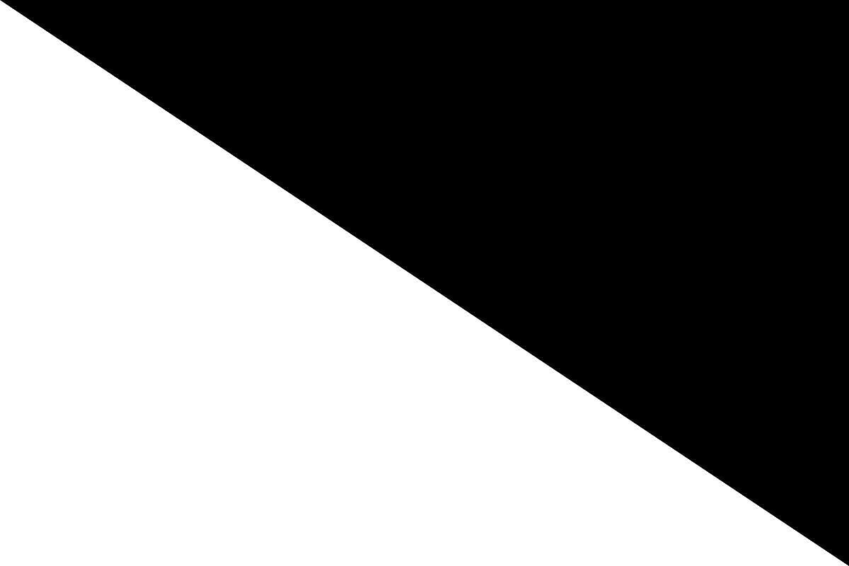 The black and white flag used in F1