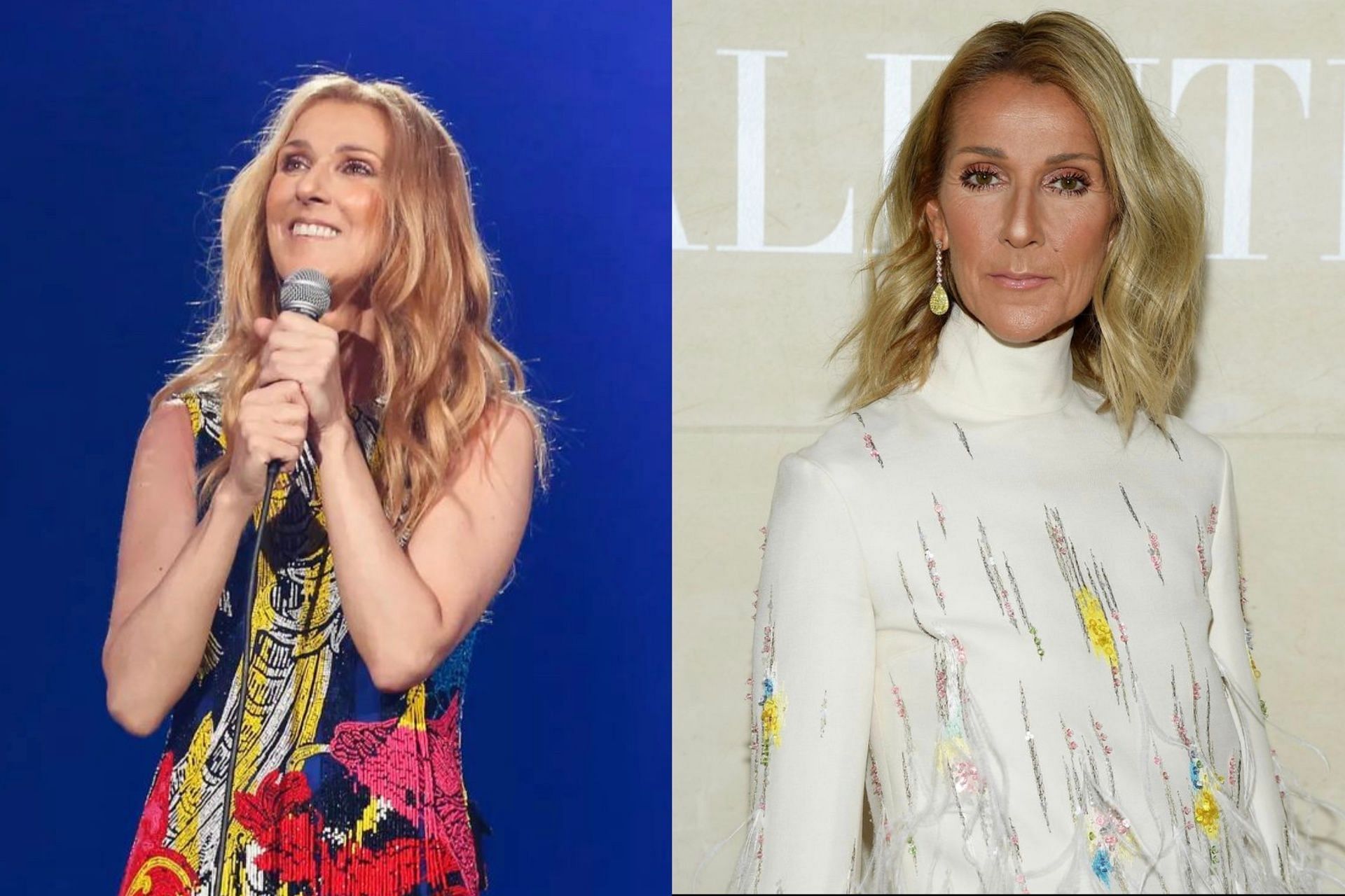Celine Dion world tour cancelled after incurable illness threatens her life