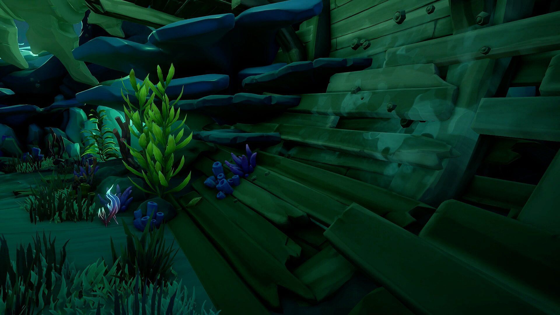 This journal is beside a blue plant (Image via Sea of Thieves)