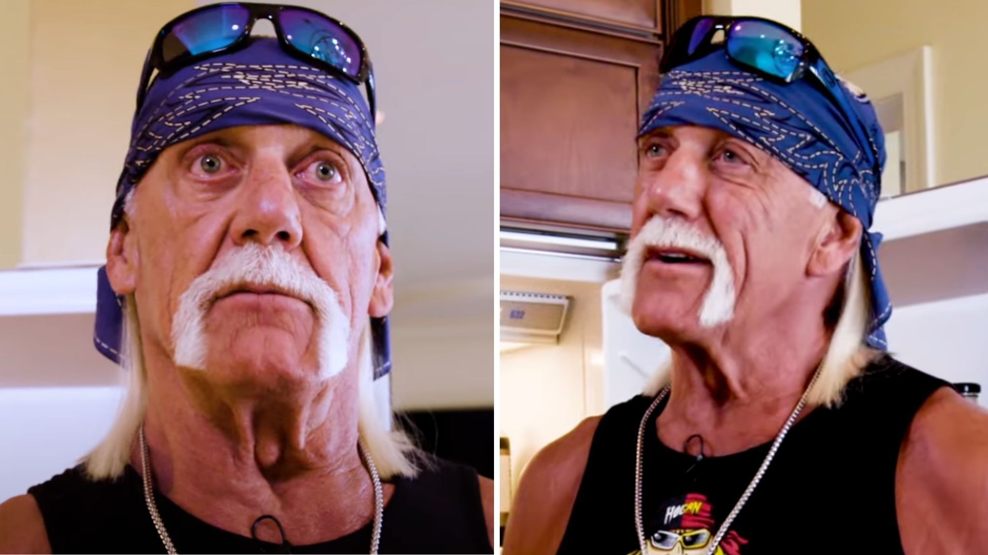 Hulk Hogan is a WWE Hall of Famer. 