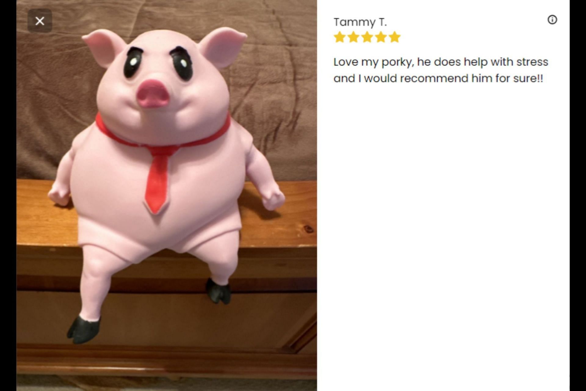 Customers review Porky Splash&#039;s viral Piggy Squeeze Toy. (Image via Porky Splash)