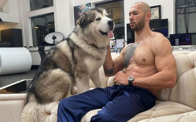 Who is Andrew Tate's coach Amir Subasic? Everything you should know about 'Cobra's long-time trainer
