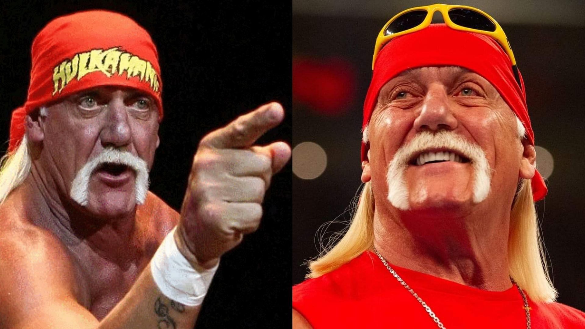 Hulk Hogan is one of WWE