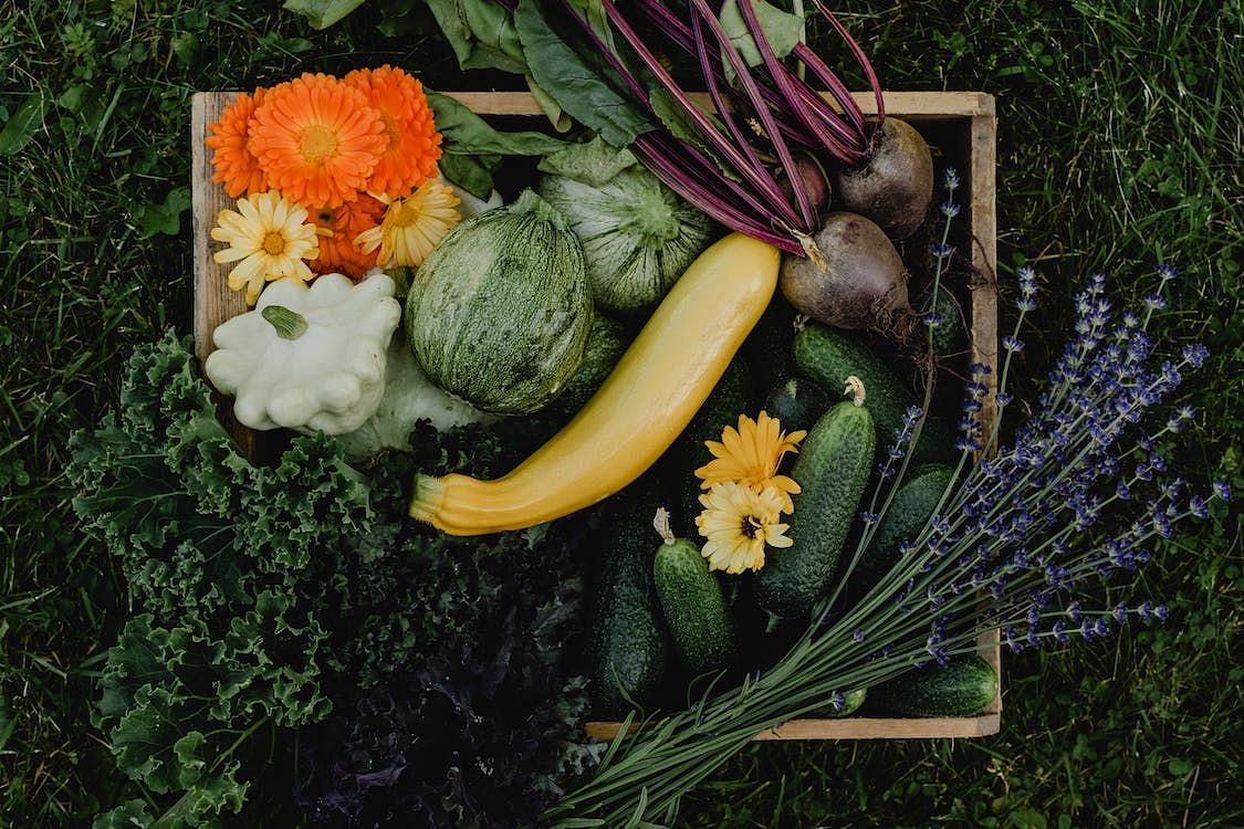Many people wonder, &quot;Are vegetables bad for you?&quot; (Eva Bronzini/ Pexels)