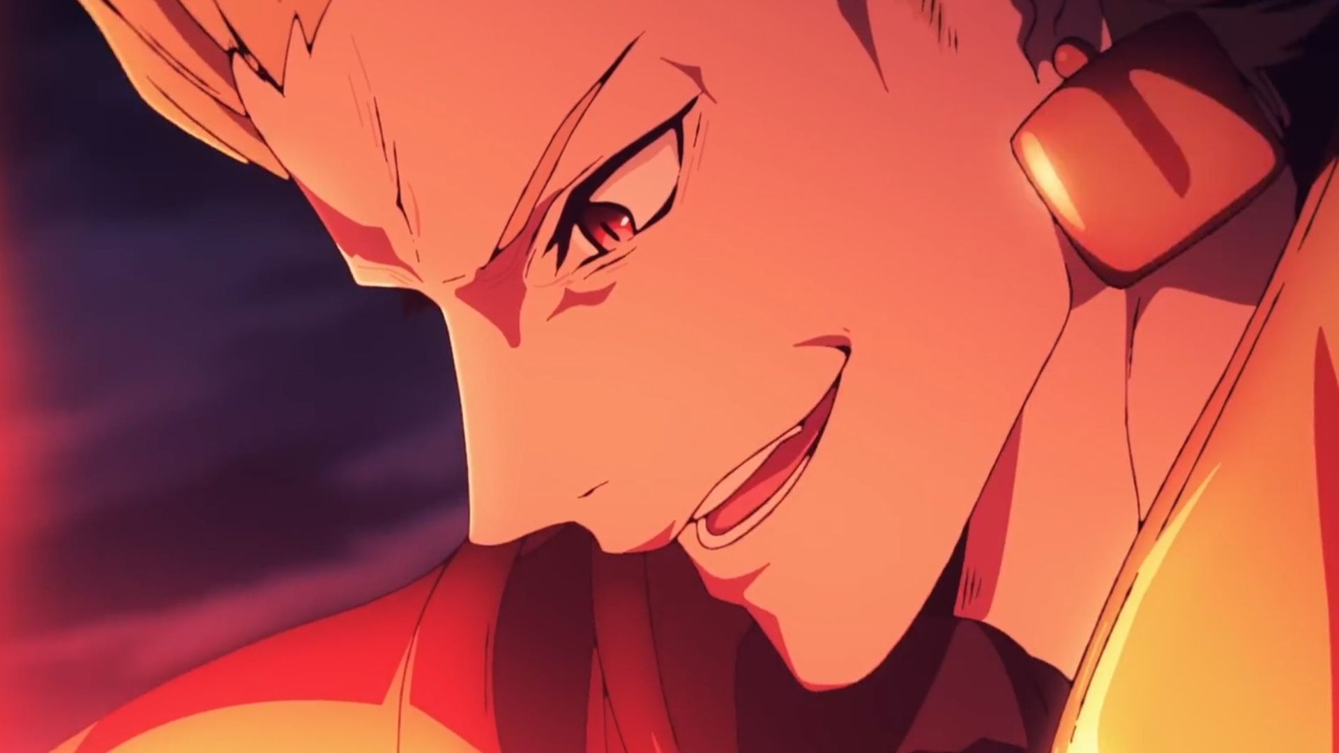 Fate Anime series