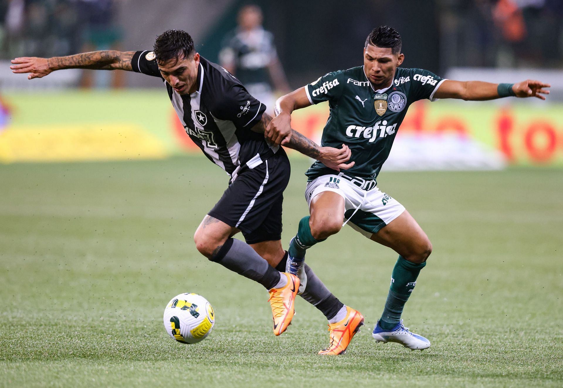 Palmeiras v Botafogo - Brasileirao 2022