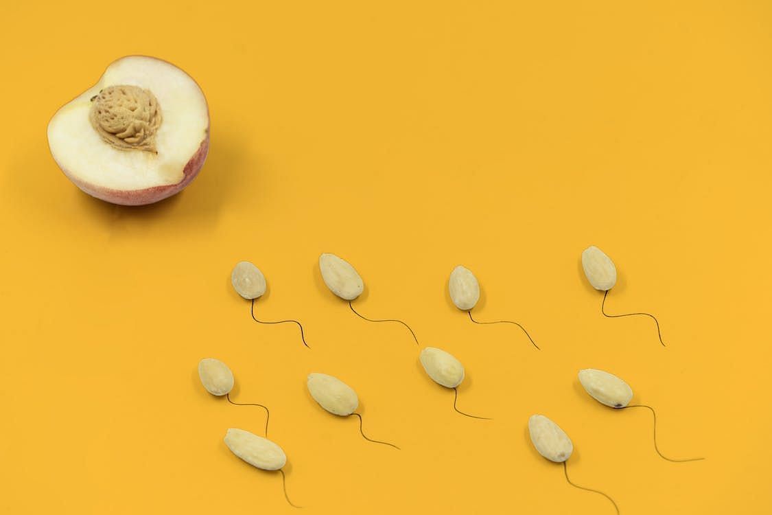 Apart from incorporating supplements, there are various lifestyle changes and tips that can contribute to increasing sperm count. (Bedbible .com/ Pexels)