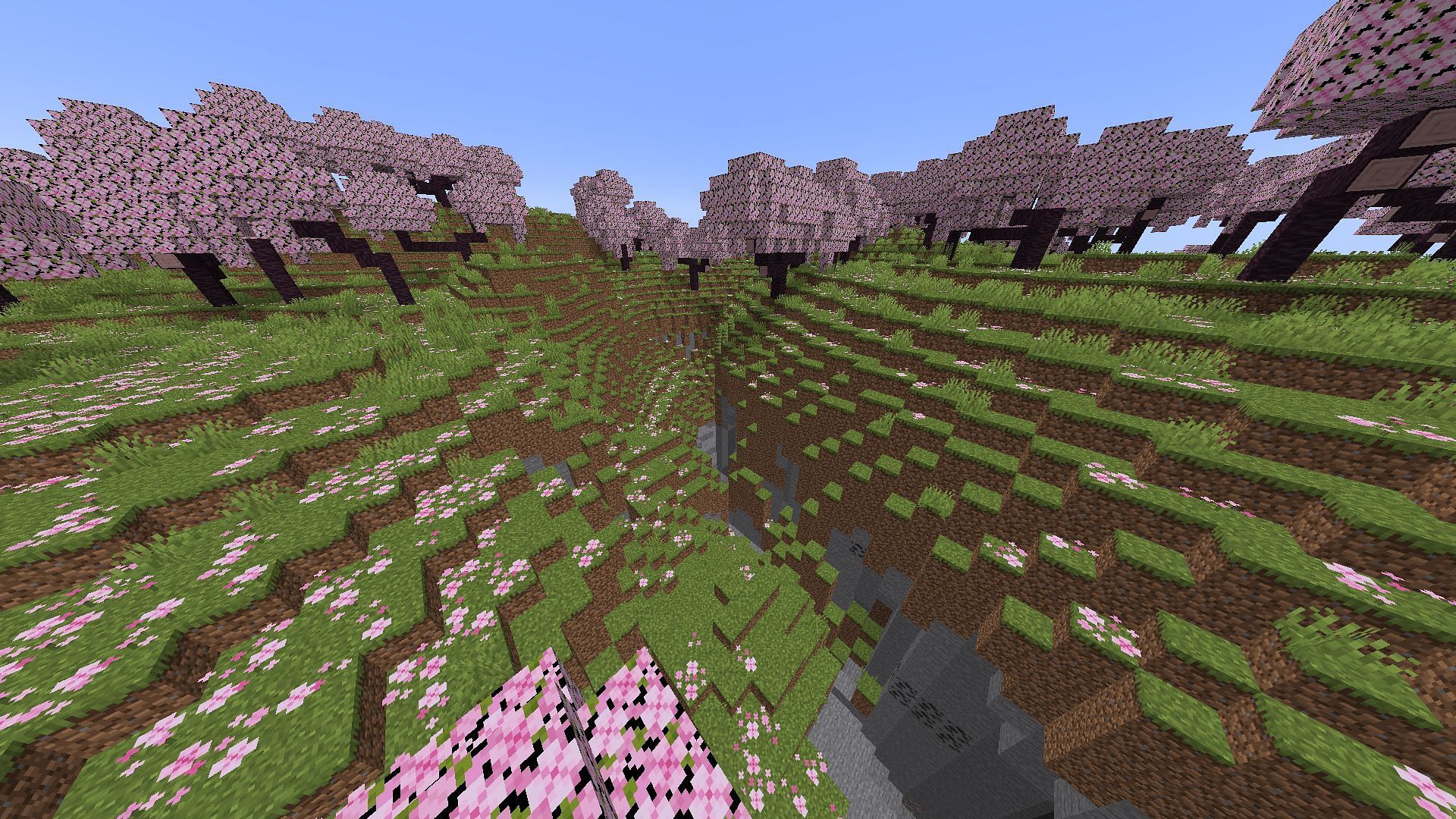 The cherry grove biome with a ravine (Image via Mojang)