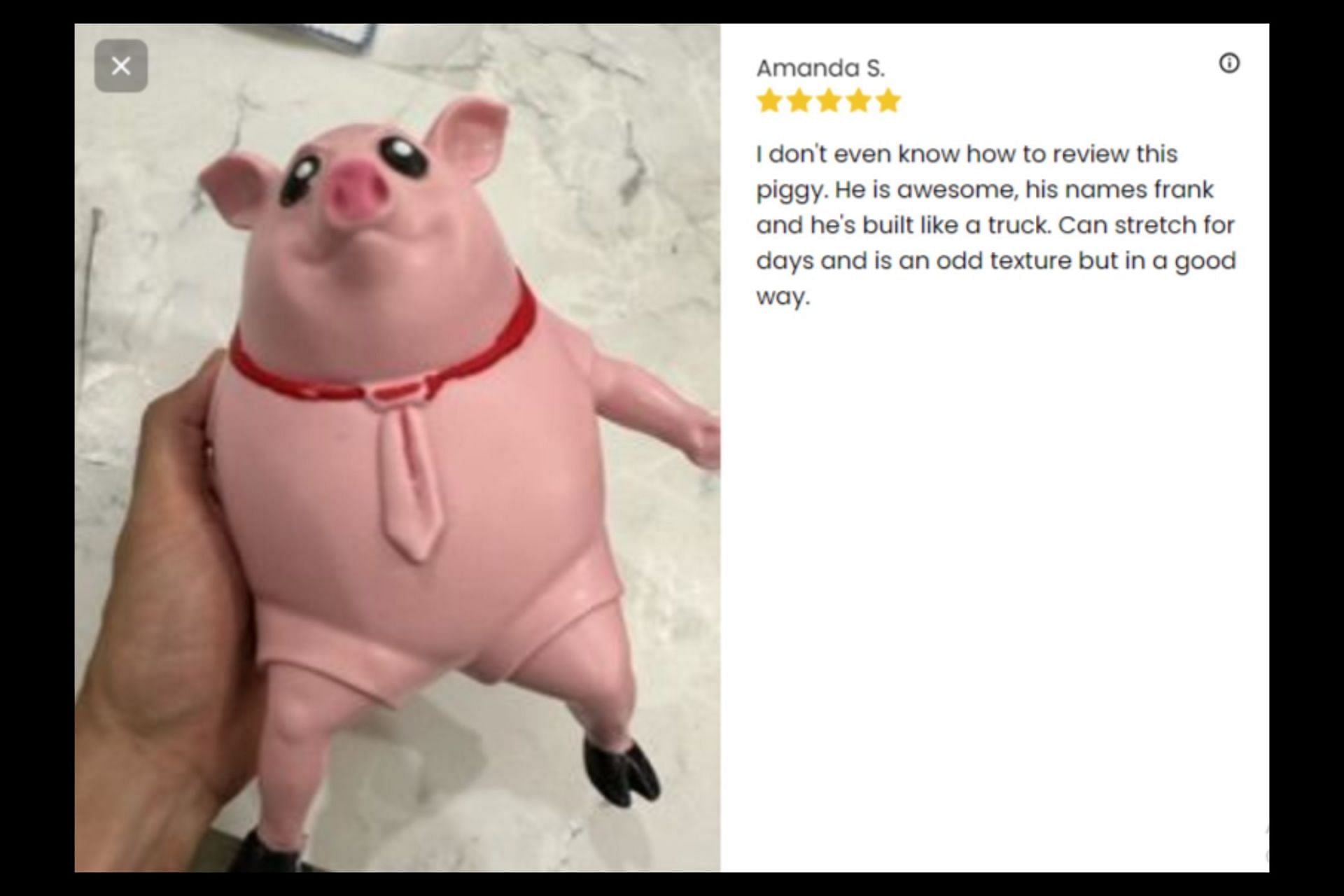 Customers review Porky Splash&#039;s viral Piggy Squeeze Toy. (Image via Porky Splash)