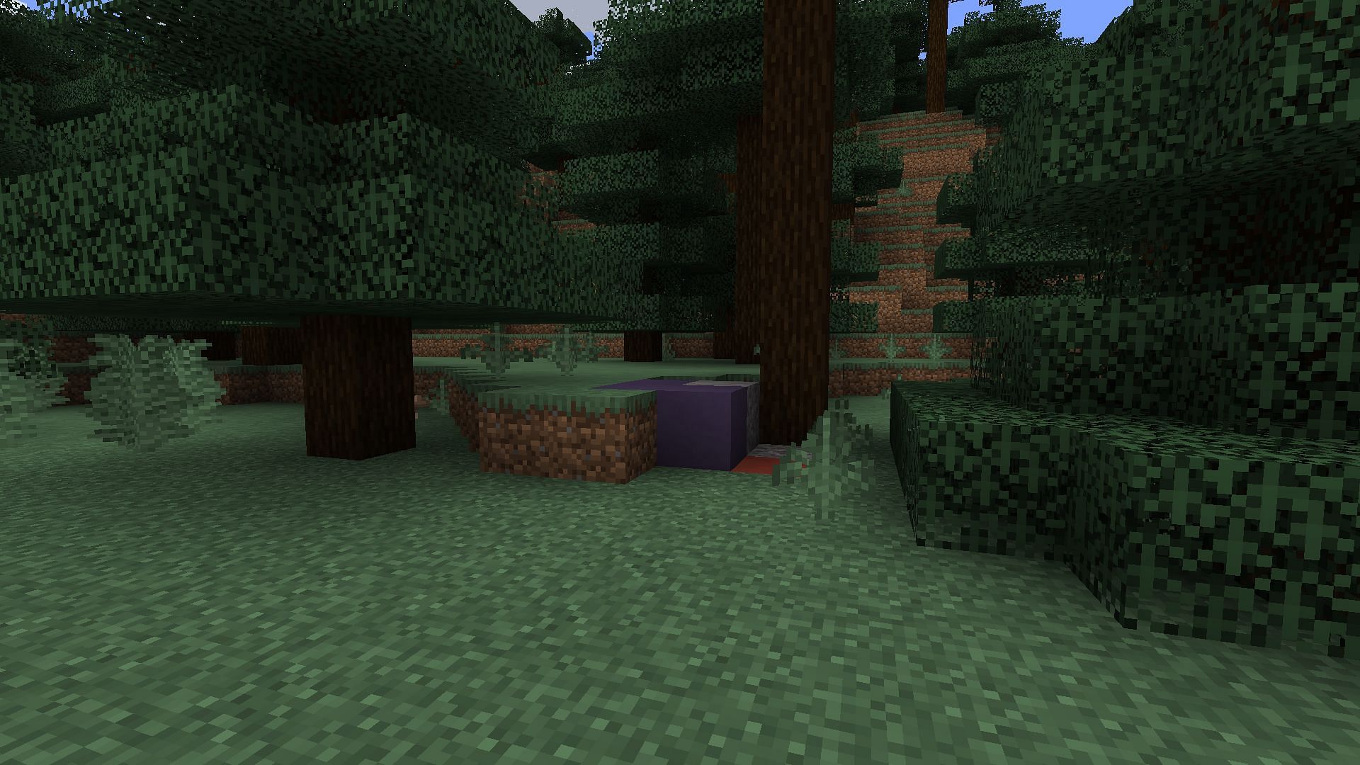 Trail ruins won&#039;t be the only underground attraction in this Java Edition seed (Image via Mojang)