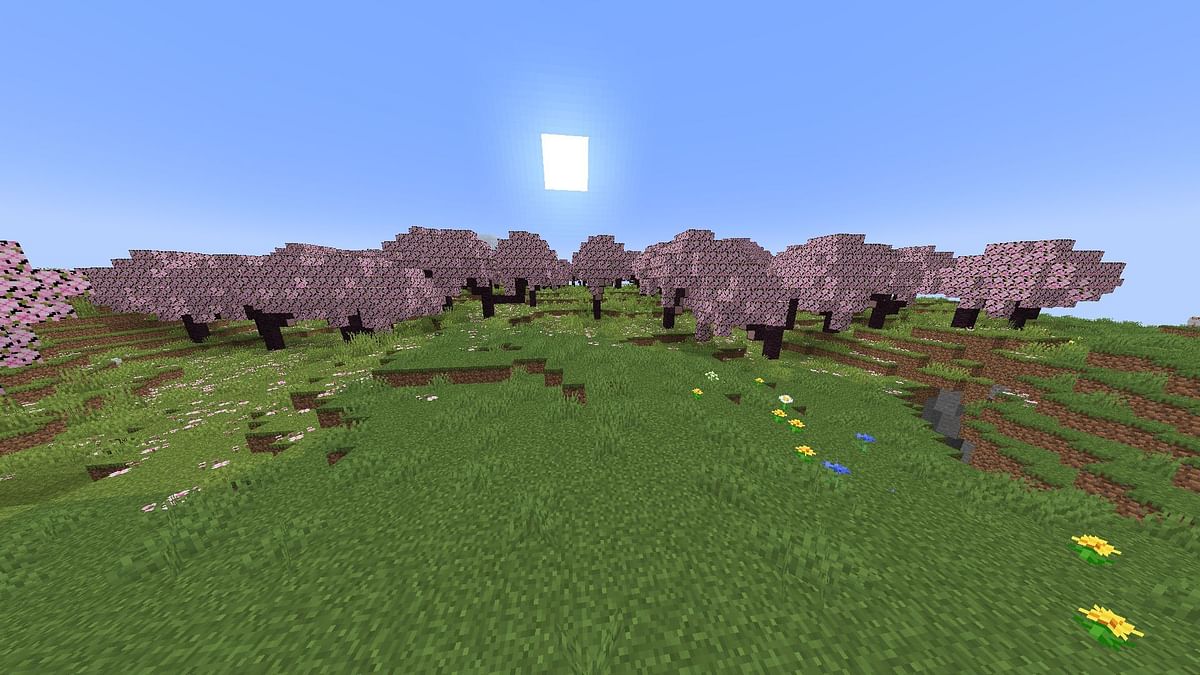 10 best seeds for Cherry Blossom in Minecraft 1.20 Update