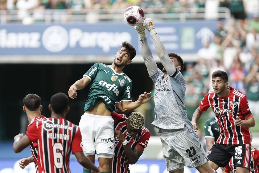 SP - Sao Paulo - 03/30/2022 - PAULISTA 2022, SAO PAULO X PALMEIRAS - Sao  Paulo player Calleri celebrates his goal with players from his team during  a match against Palmeiras at