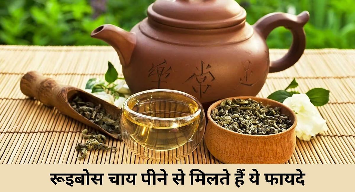 रूइबोस चाय पीने से मिलते हैं ये फायदे(फोटो-Sportskeeda hindi)