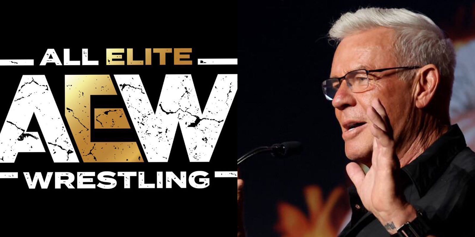 WWE Veteran Eric Bischoff criticizes AEW Star 