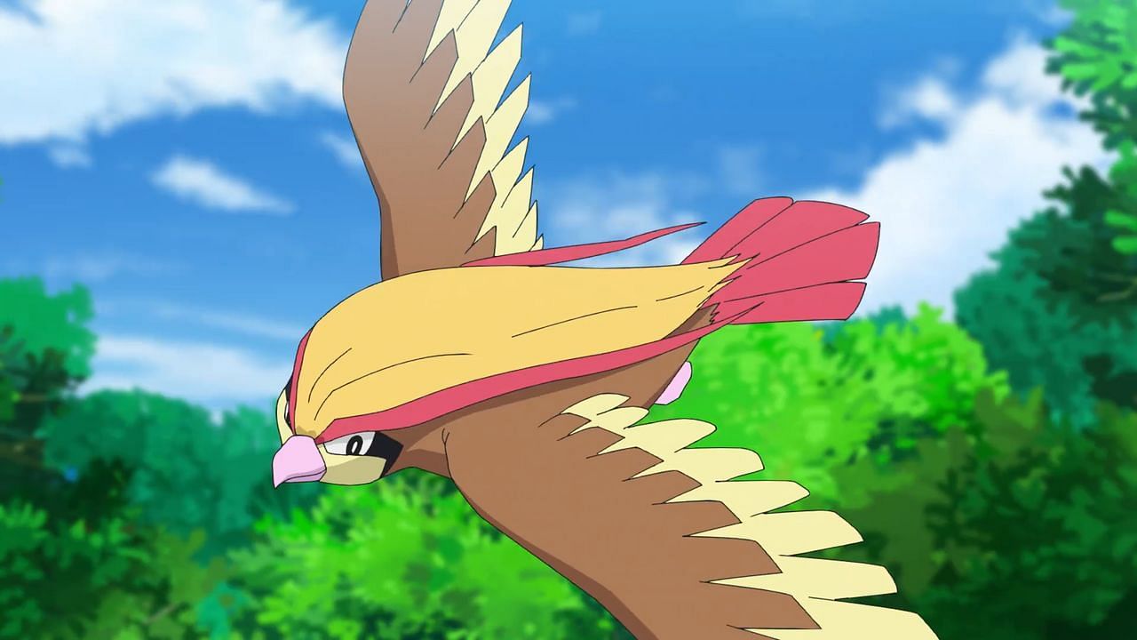 Pidgeot as seen in the anime (Image via The Pokemon Company)