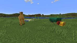 Sniffer vs Camel in Minecraft: Which one is the better mob in Trails & Tales update?