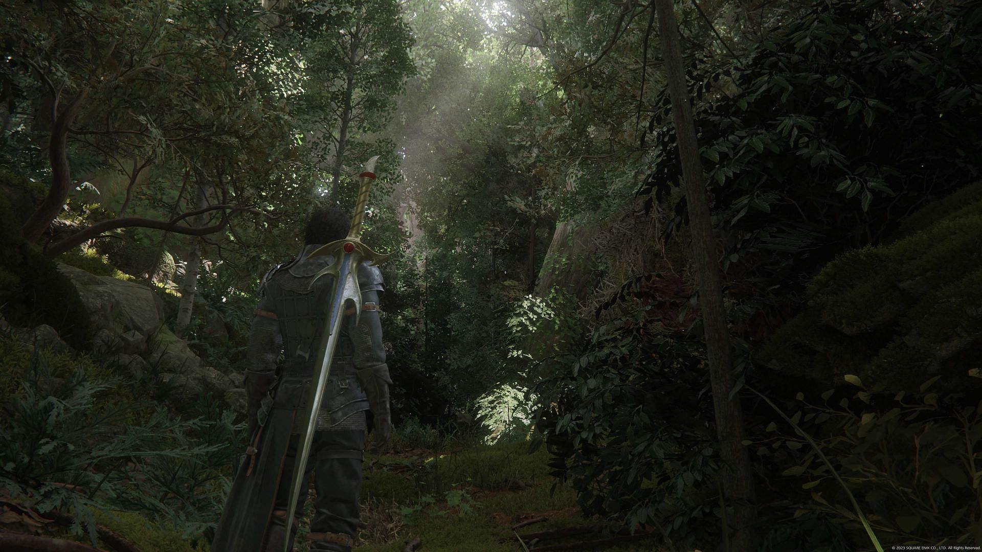 Clive is standing in a forest