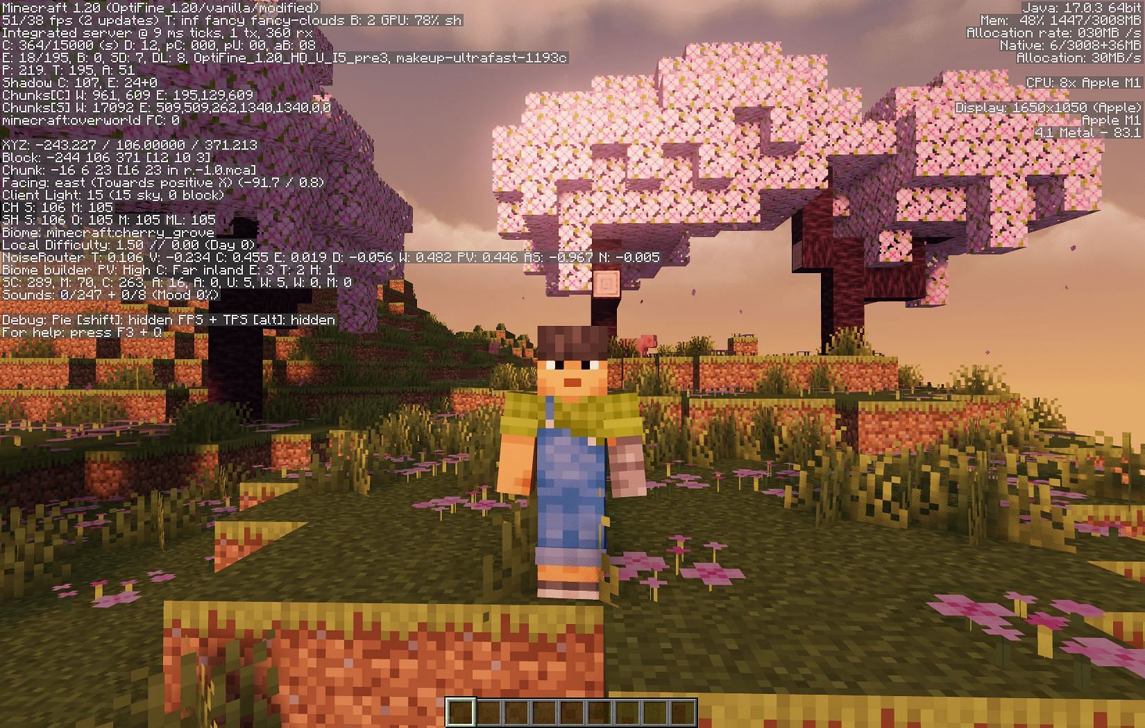 Screenshot of a simple and engaging minecraft gameplay