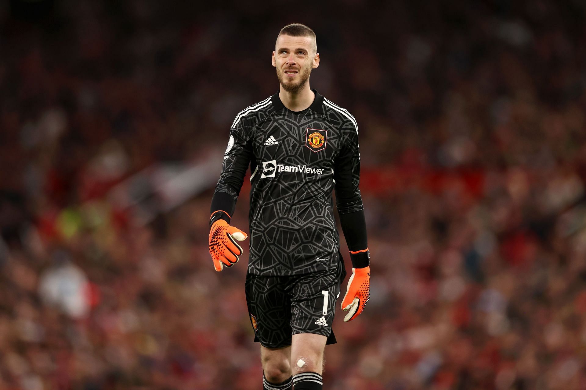 2022/23 adidas David de Gea Manchester United L/S Home Jersey