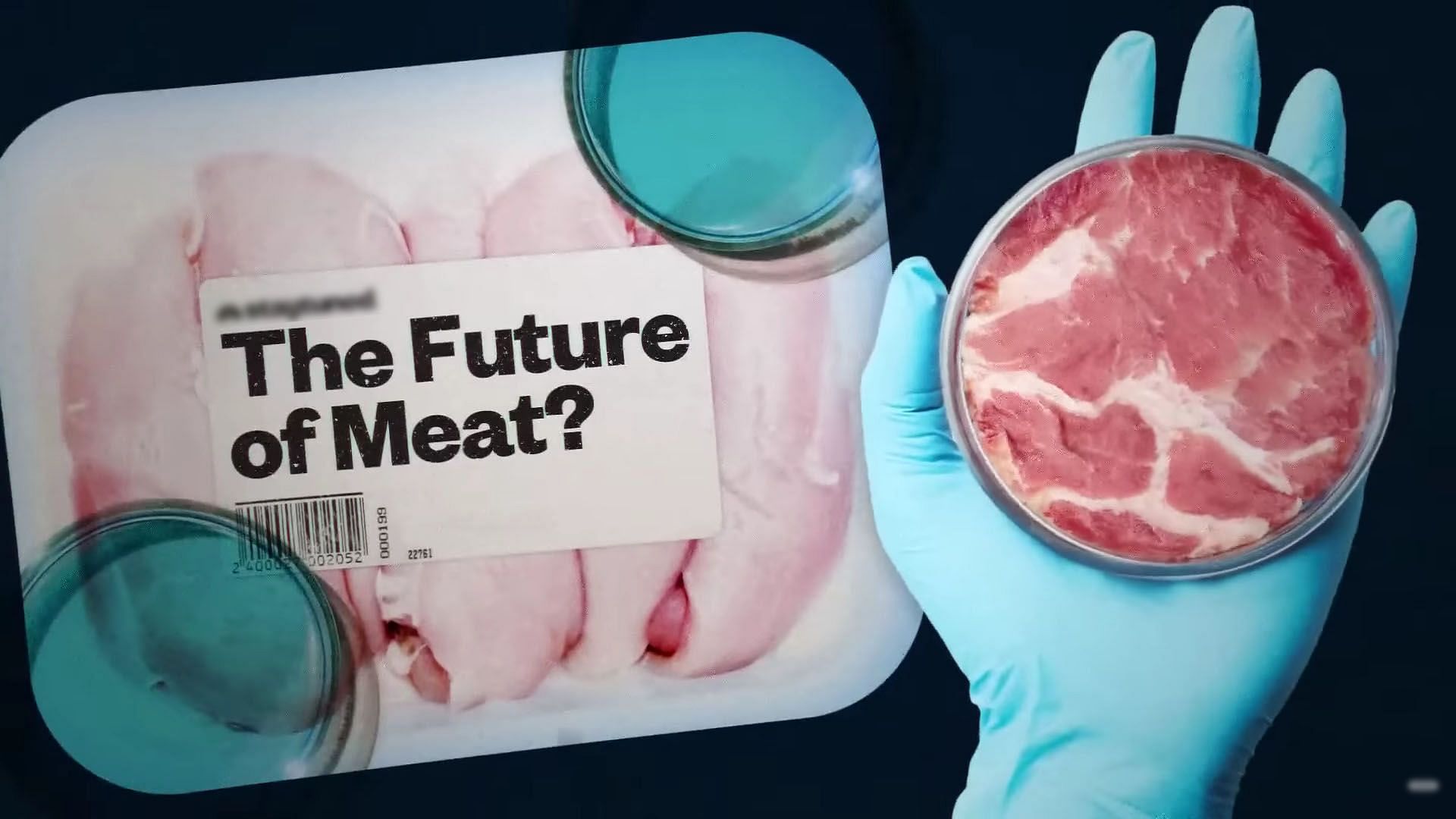 Artificial Meat, Lab-Grown Meat and the Future of Food