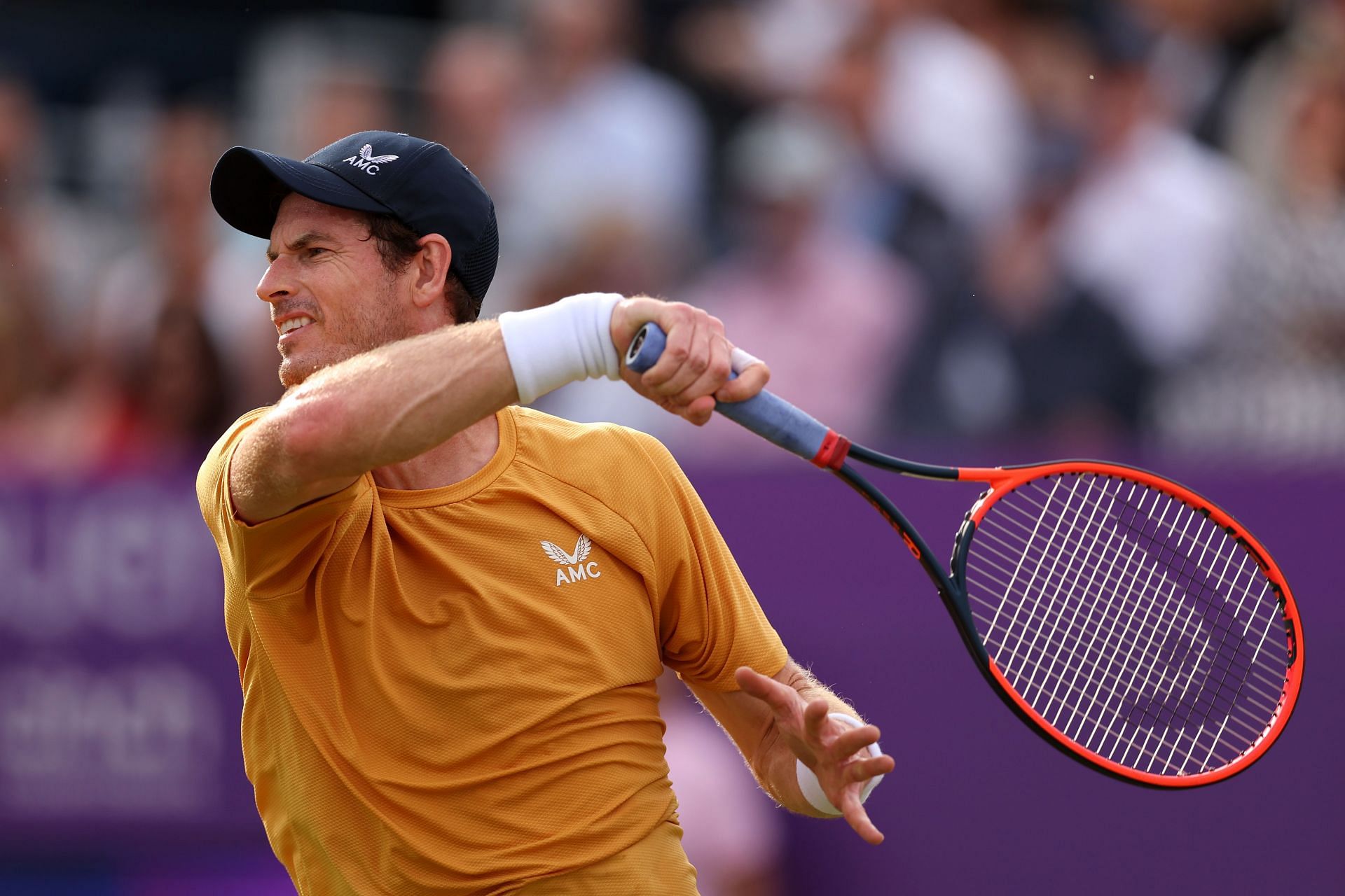 Andy Murray at the Queen's Club Championships