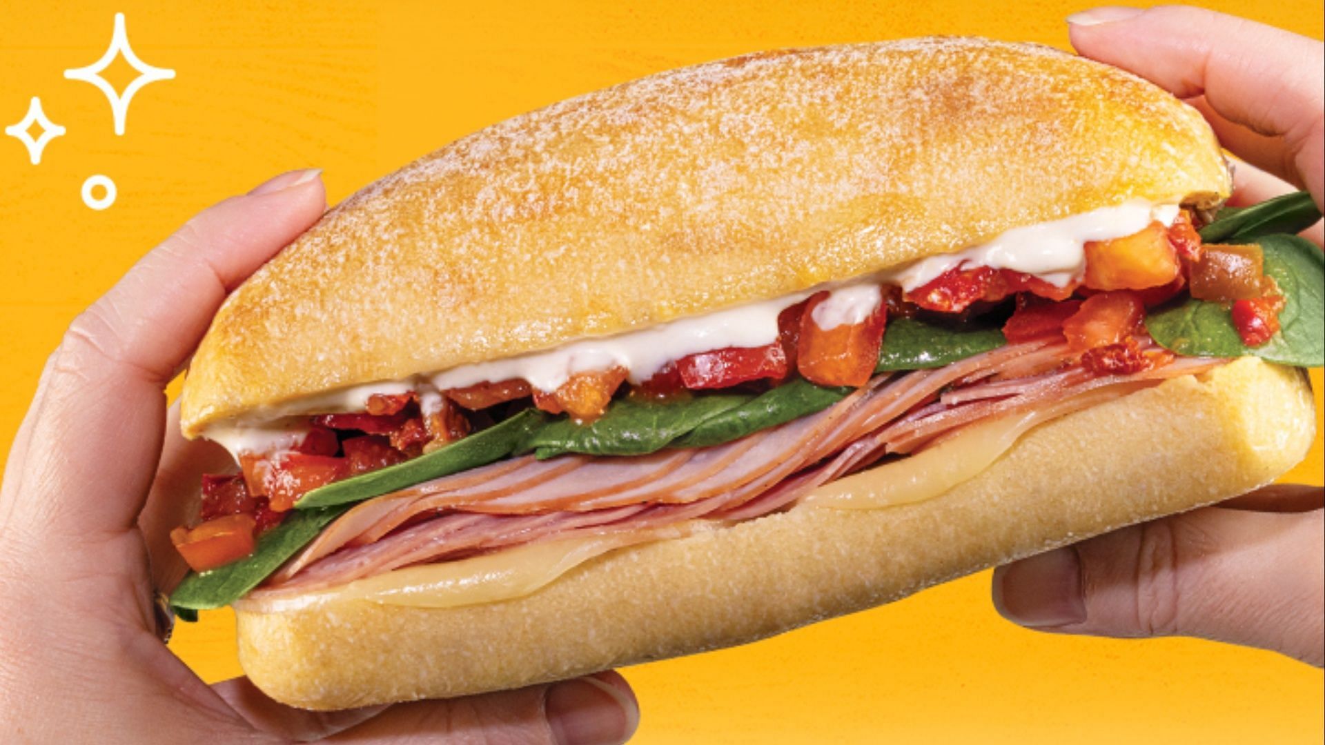 The new all-day-long Ciabatta Sandwiches are available all across the country starting June 9 (Image via Wawa)