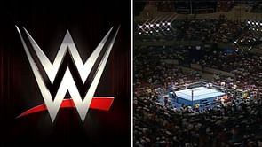 'फैंस के सपोर्ट के बिना कुछ नहीं होता'- हॉल ऑफ फेमर ने अपने WWE डेब्यू की 35वीं सालगिरह पर प्रशंसकों को भेजा खास संदेश