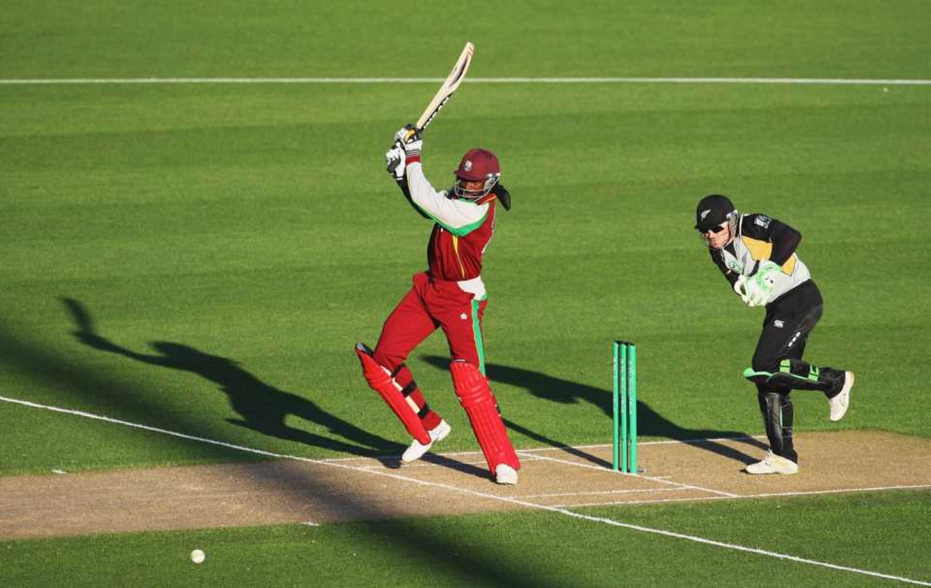 Chris Gayle put on a majestic performance against New Zealand.