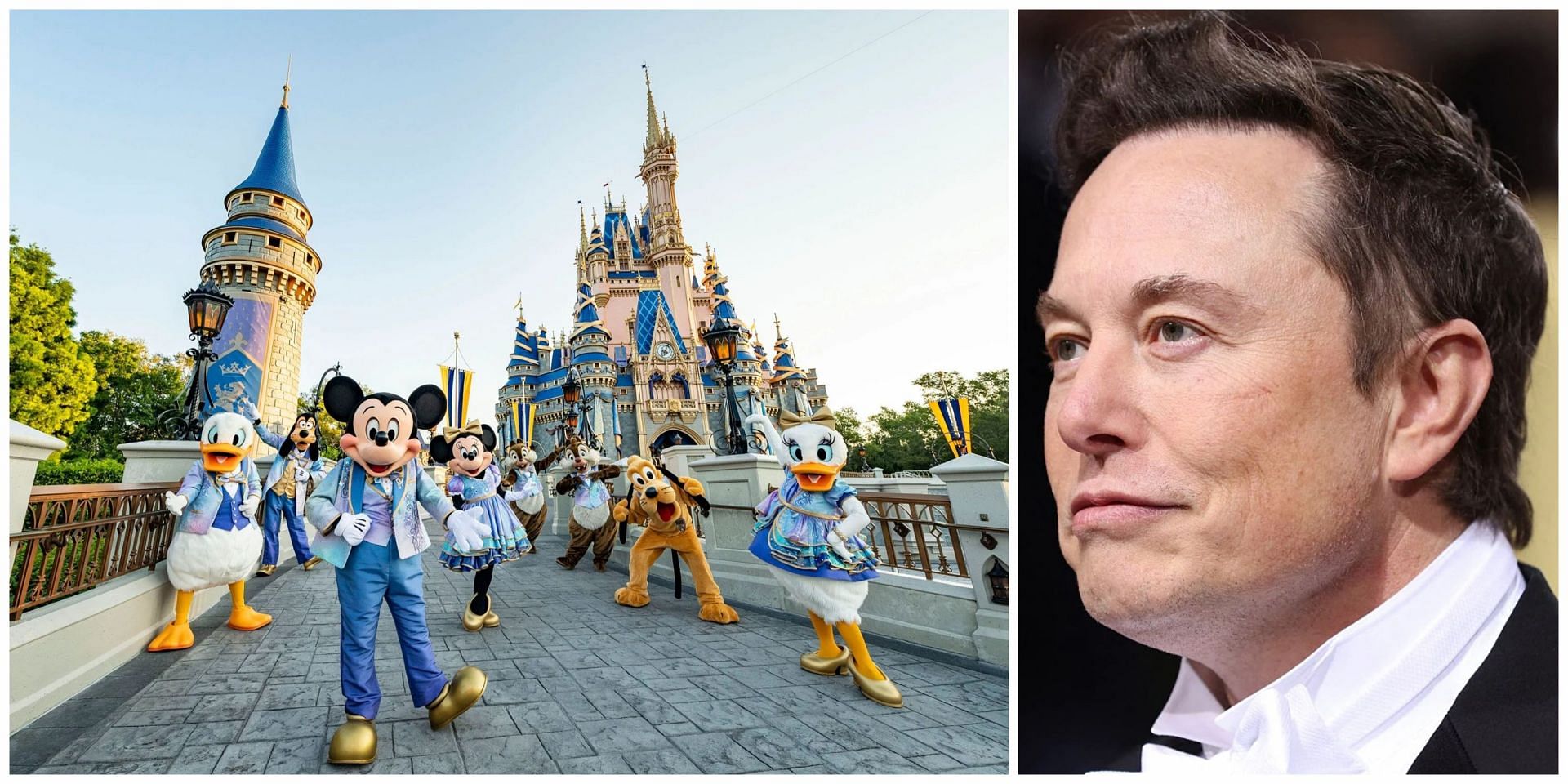 Fact Check: Is Elon Musk Buying Disney World? Viral Article Debunked